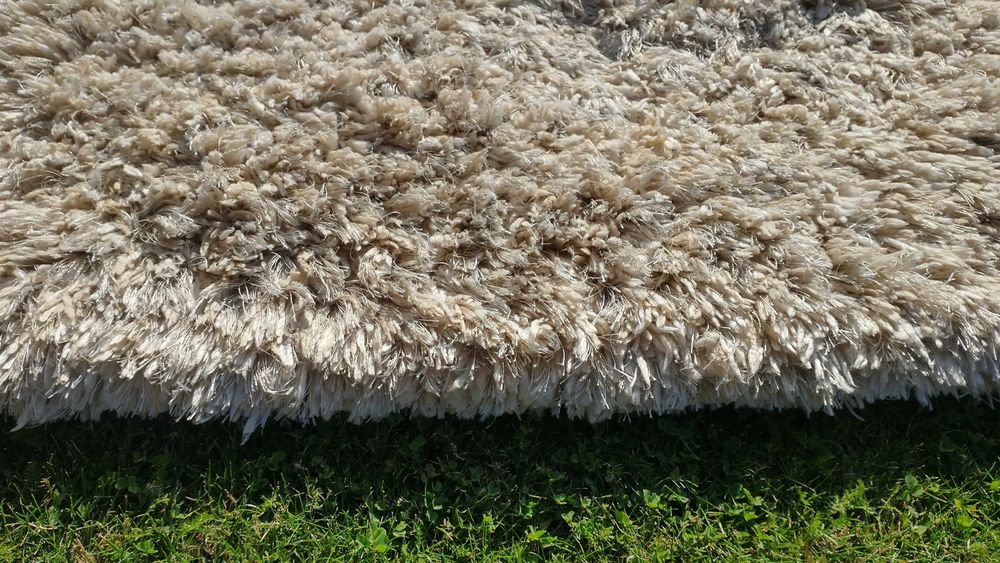 Dywan Shaggy Super Soft 160x230cm Beżowy