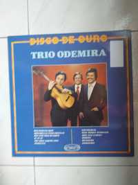 Trio Odemira - Disco de Ouro