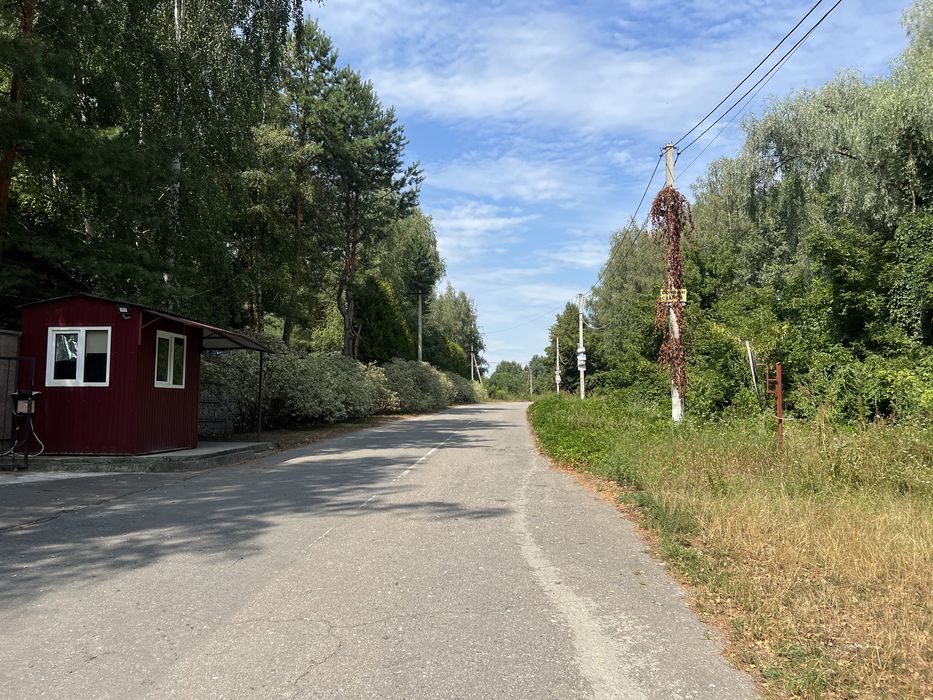 1га соснового лісу під буд-во с.Хлепча