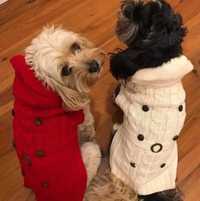 Одежда, пальто для собаки