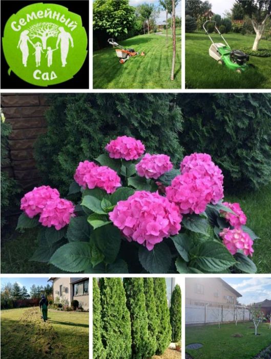 Догляд за садом,аєрація-покос газону,обробка рослин, обрізка дерев