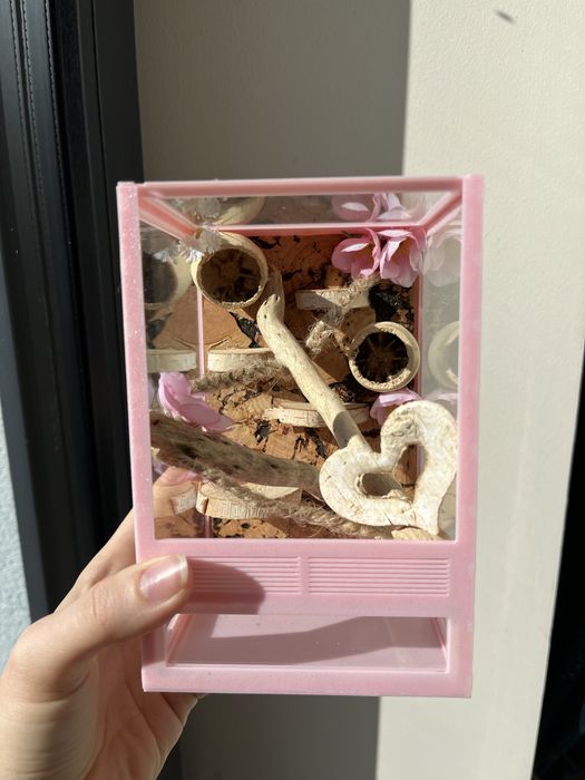 Terrarium dla skakuna 10x10x15