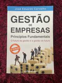 Gestão de Empresas