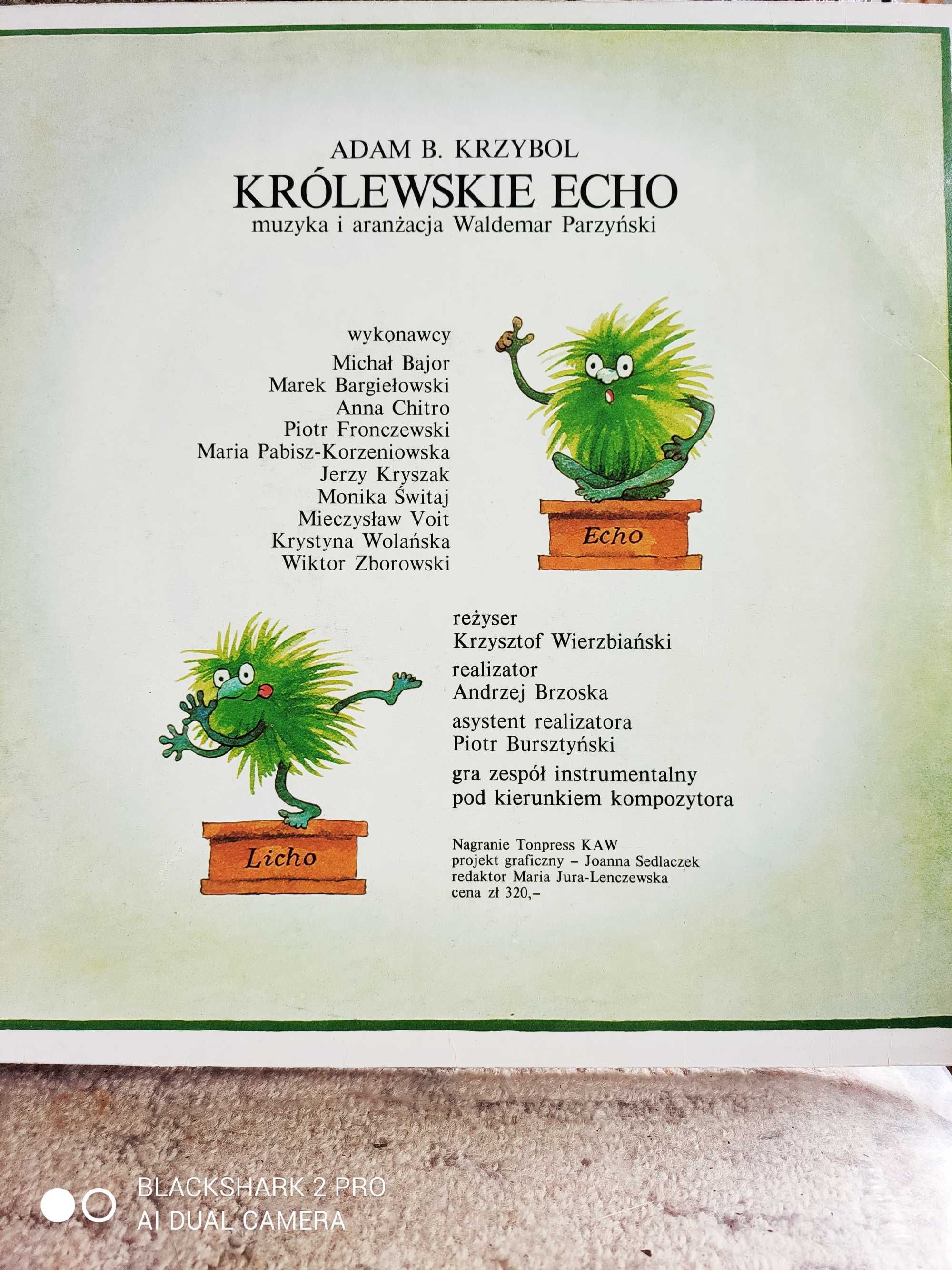 Królewskie echo - baśń na taśmie