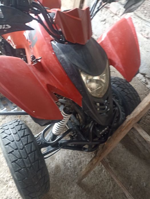 Quad cpi 250 , barrosa (zarejestrowany)