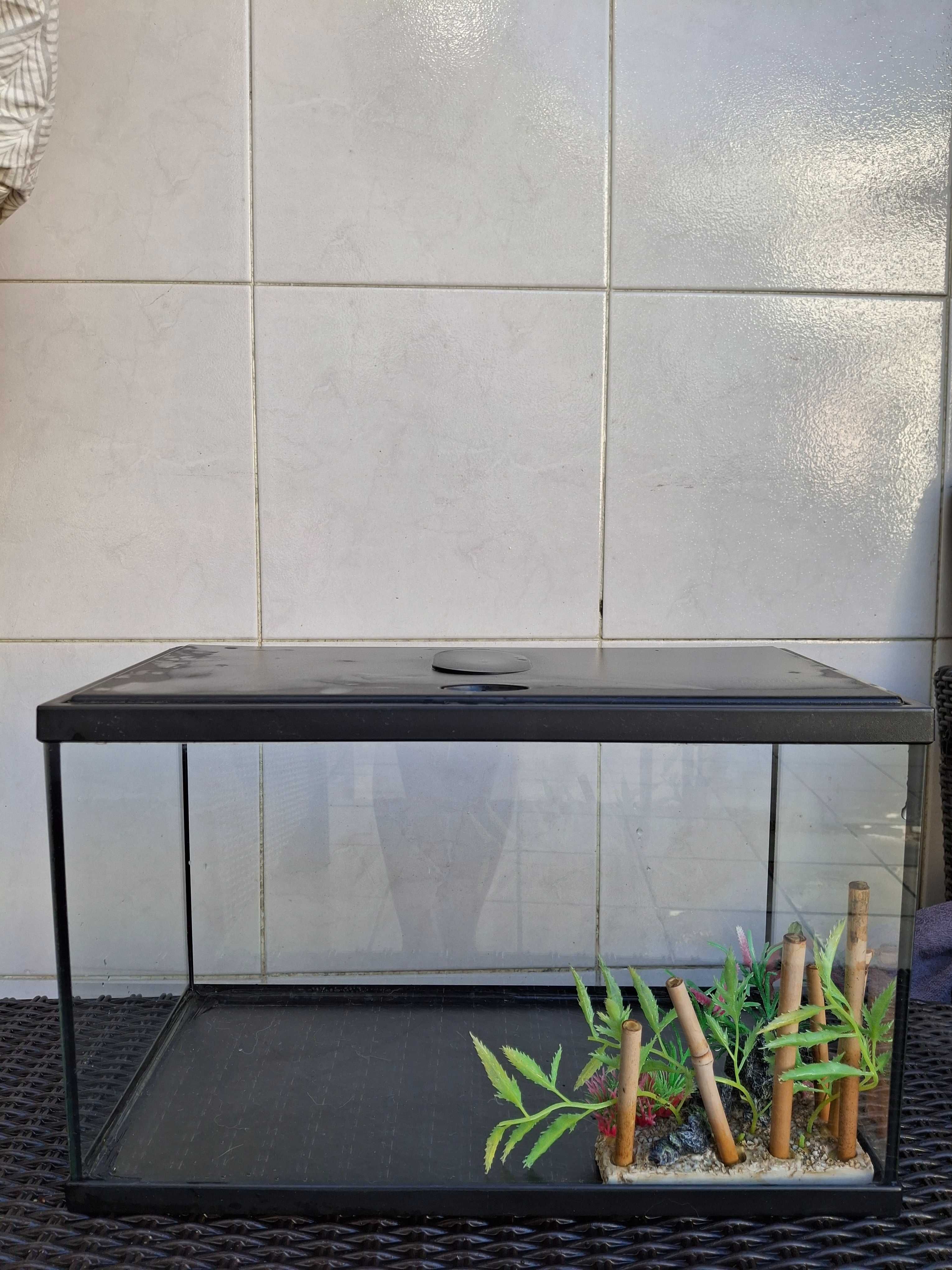 Aquário 20L 40cm×25cmx20cm