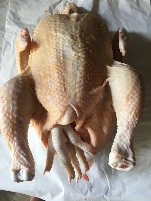 Tuszki kaczek, brojlerów, kogutów