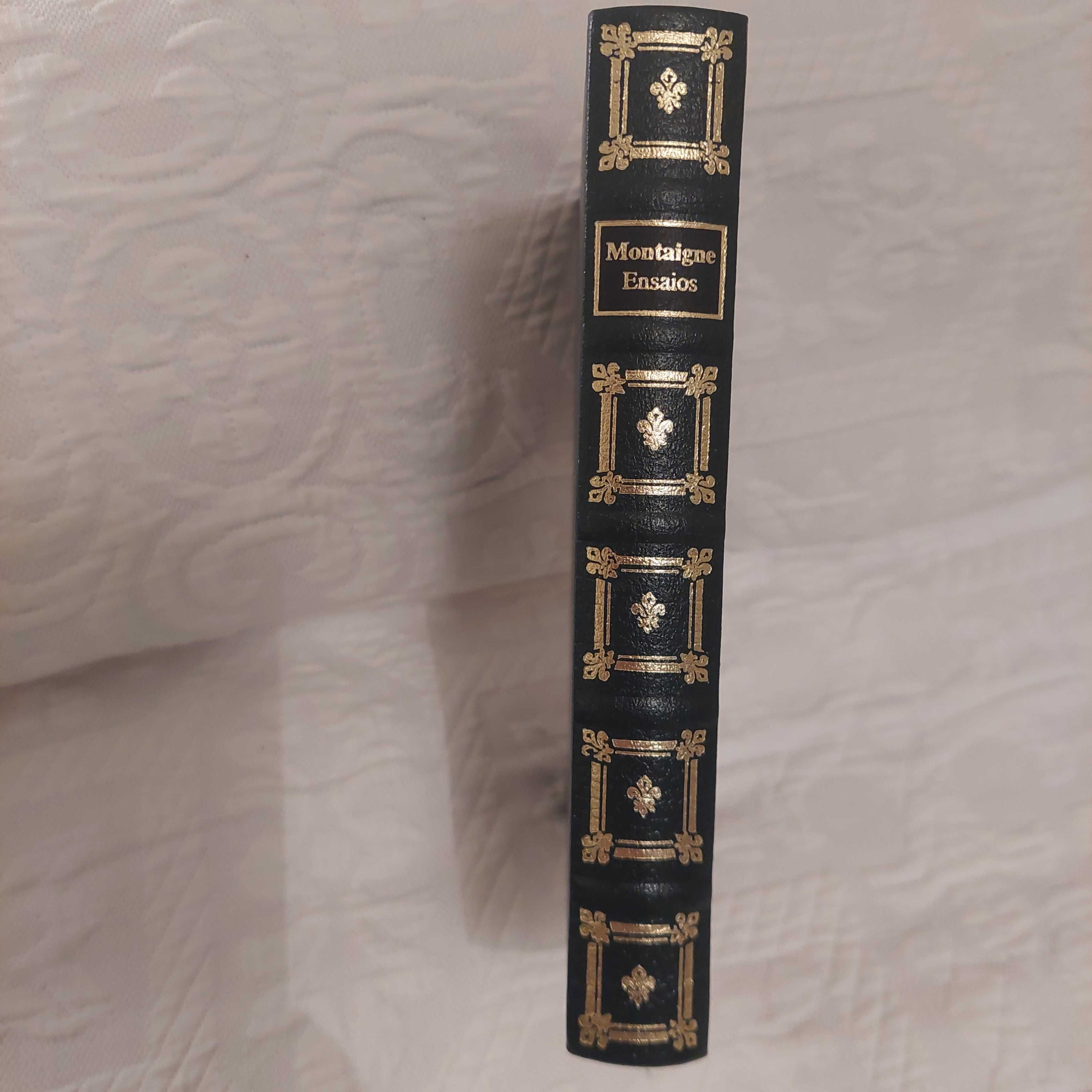 Ensaios, Montaigne