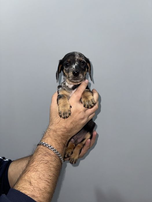 Хлопчик яскравий красунчик