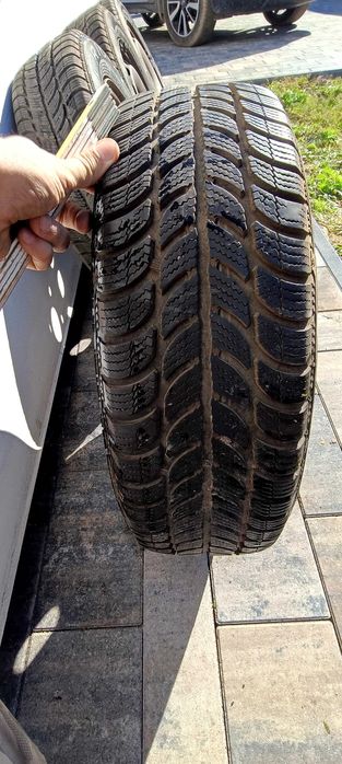 Opony zimowe Dębica Frigo2 175/65/R14