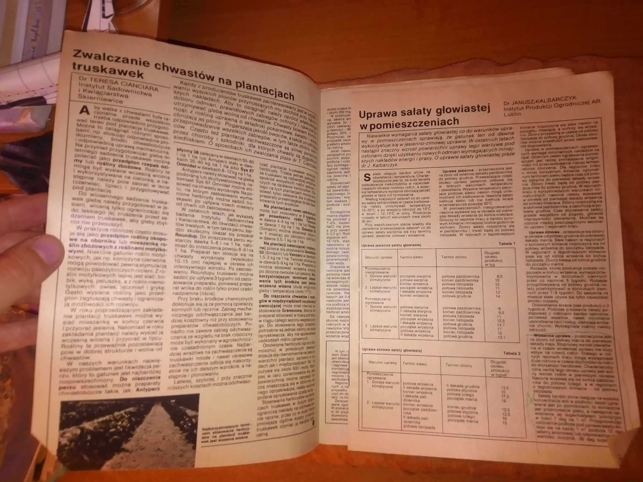 Owoce warzywa kwiaty dwutygodnik 21 1981 ogrodniczy gazeta czasopismo