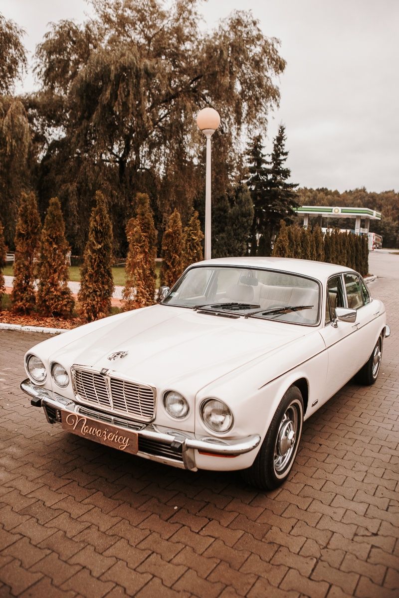 Auto do Ślubu JaguarXJ Piękny Klasyk z 1979 roku.