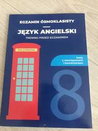 Ezgamin ósmoklasisty - Język Angielski