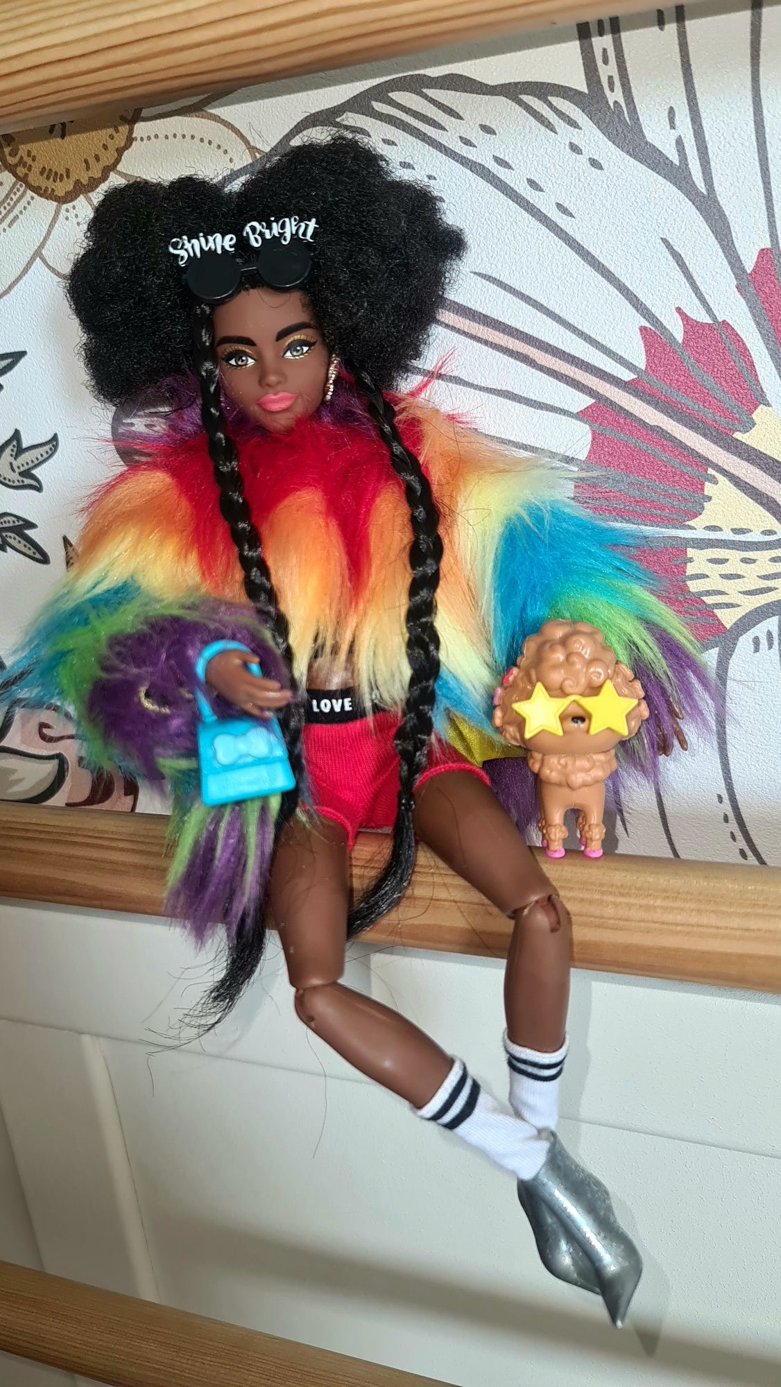 Barbie Lalka Tęczowy Płaszcz z Pudlem Brunetka Afro i Plecione Warkocz