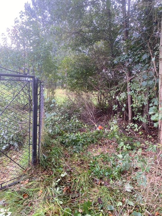 Koszenie działek, wycinka drzew, zarośli, prace porzadkowe itp.