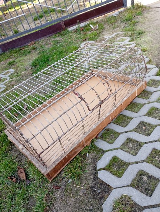 Klatka 50x80 solidna