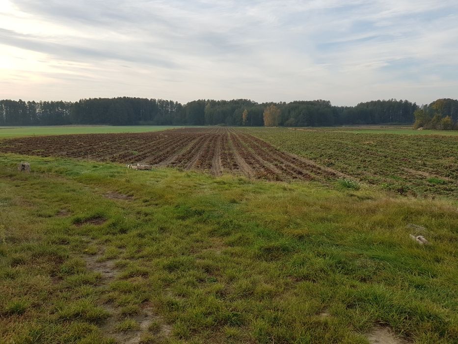 Żwirownia 15 ha w jednym kawałku ziemia z pokładami żwiru i piasku.