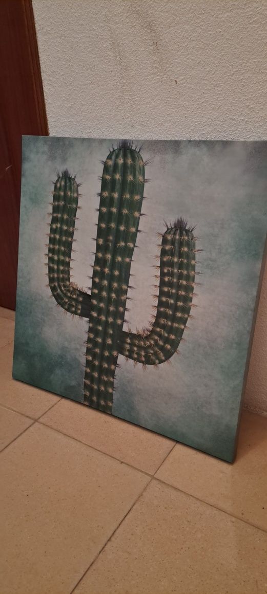 Quadro cacto 58 x 58
