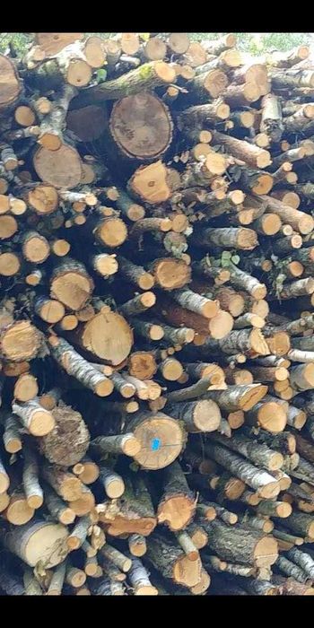 DREWNO OPAŁOWE na sprzedaż