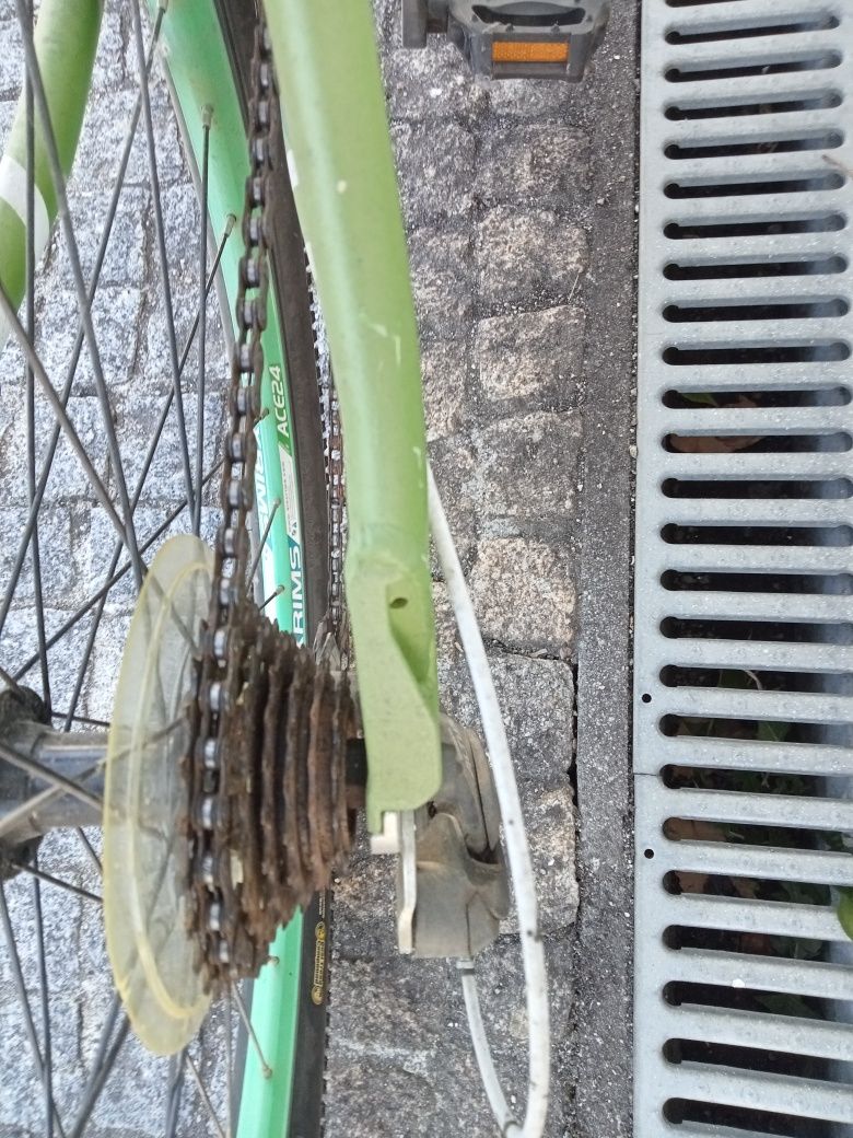 Bicicleta de montanha
