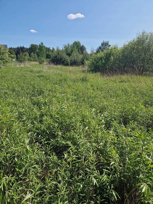 Działka budowlana 1540m2 Wojciechowice