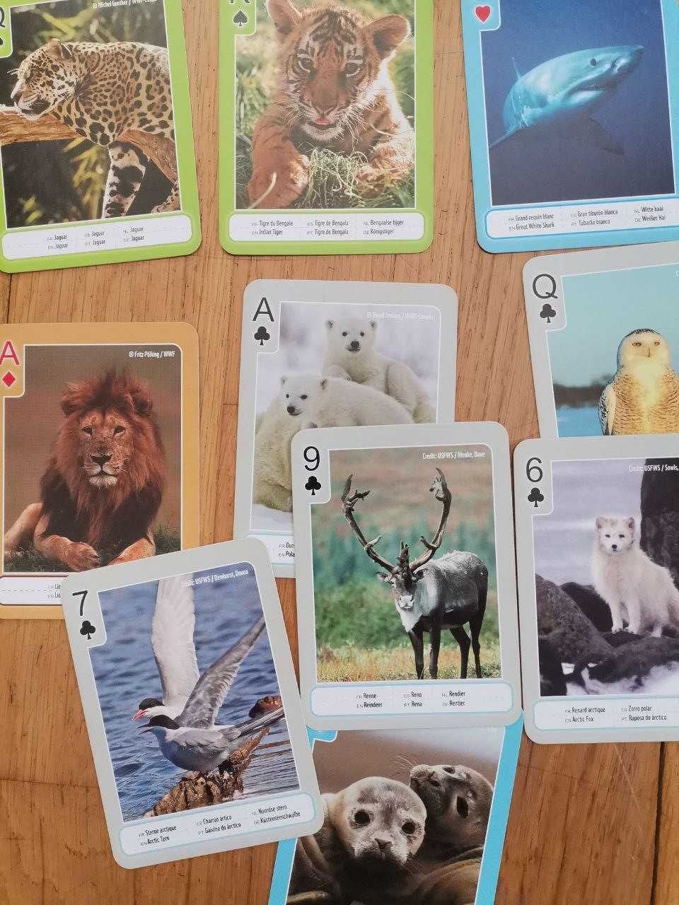 Baralho de cartas animais espécies ameaçadas WWF