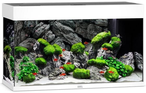 Juwel akwarium z wyposażeniem RIO 125, oświetlenie LED, grzałka, filtr