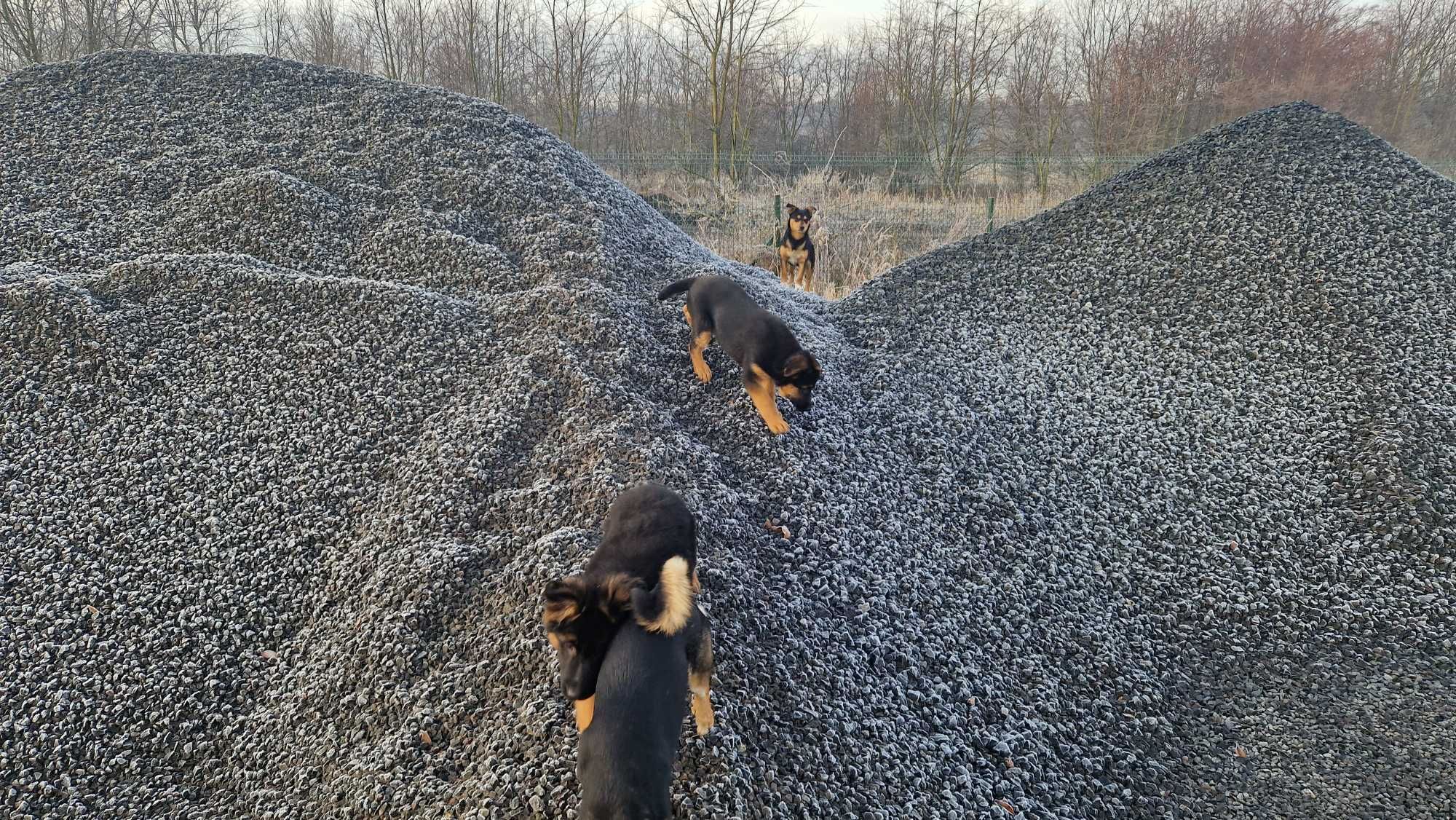 Mączka bazaltowa 0-4 zasypka do kostki kamiennej granitowej grysy bruk