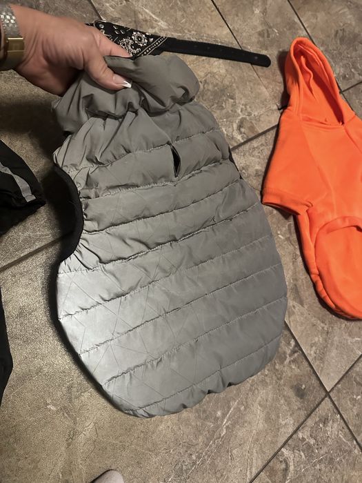 Жилетка комбінезон для француза/мопса М40