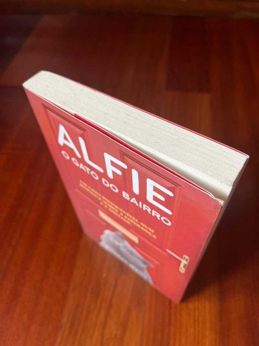 Livro "Alfie - o gato do bairro" (Rachel Wells) - como novo!