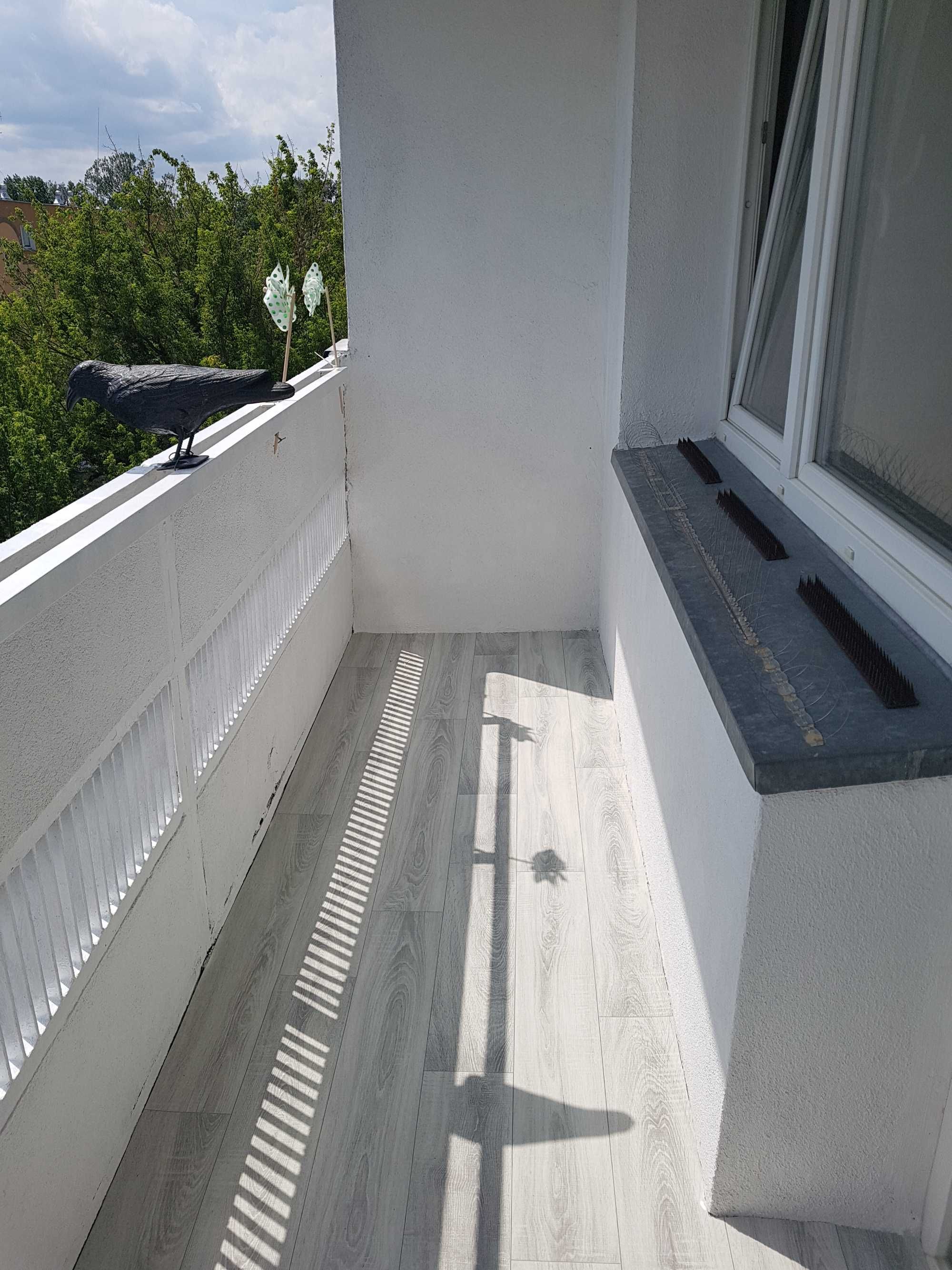 Duży pokój z balkonem dla studenta, absolwenta - od zaraz. Tanio!