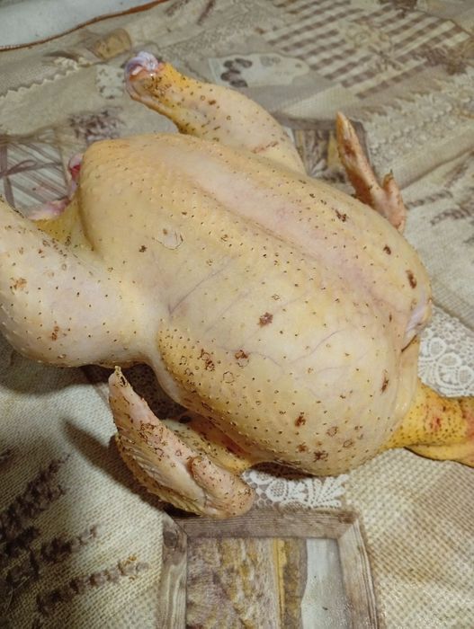 Домашні кури бройлер(тушка)..