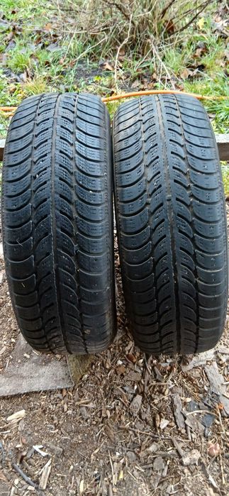 Зимові шини. Дебіца 2 шт.