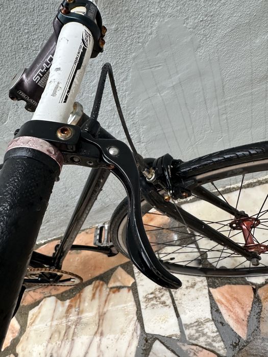 Bicicleta Fixie / Single Speed