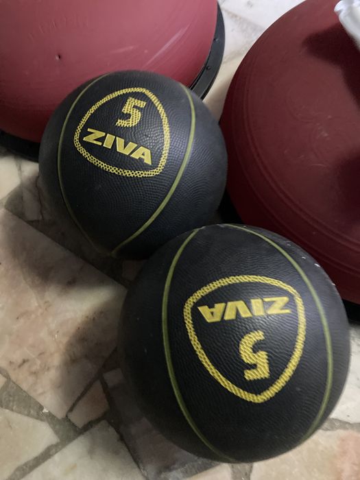 DUAS BOLAS MEDICINAIS 5KG