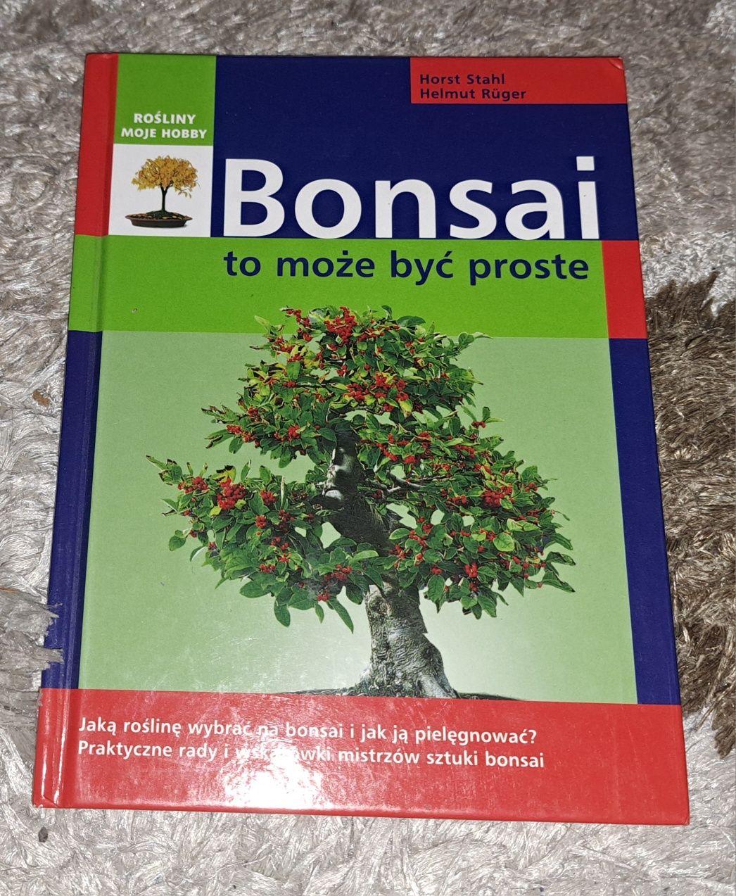 Bonsai poradnik pielęgnacji