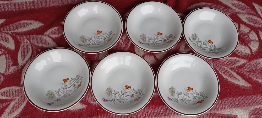 Talerze-6szt porcelana Lubiana