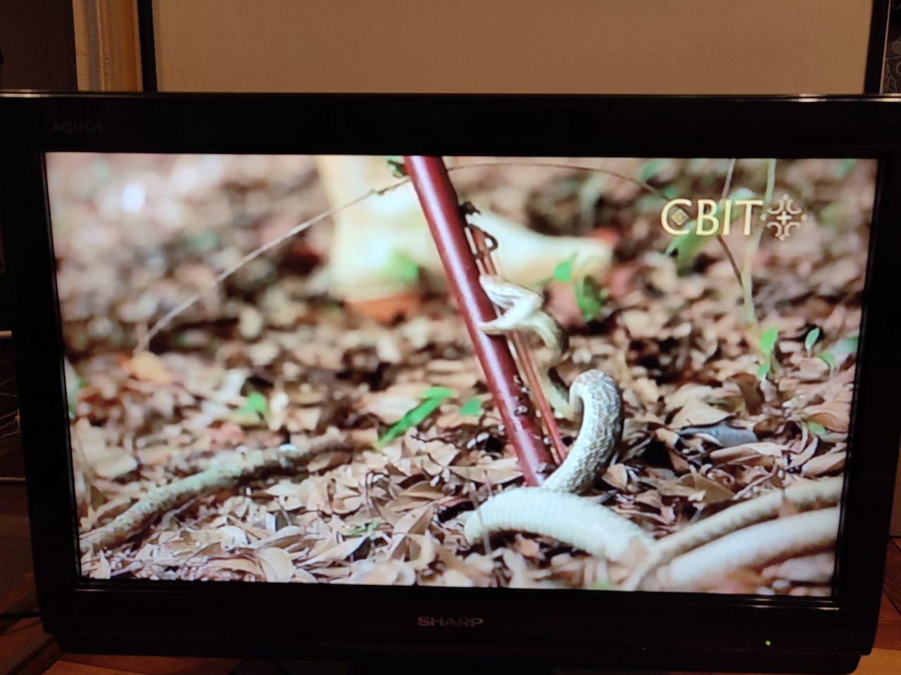 Телевизор LCD Sharp