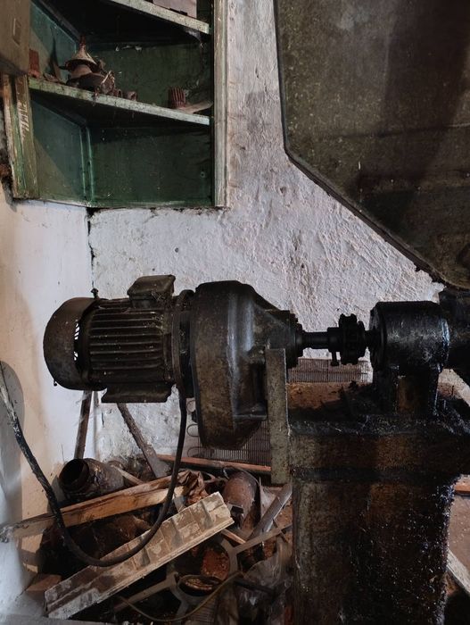 Маслопрес шнековий