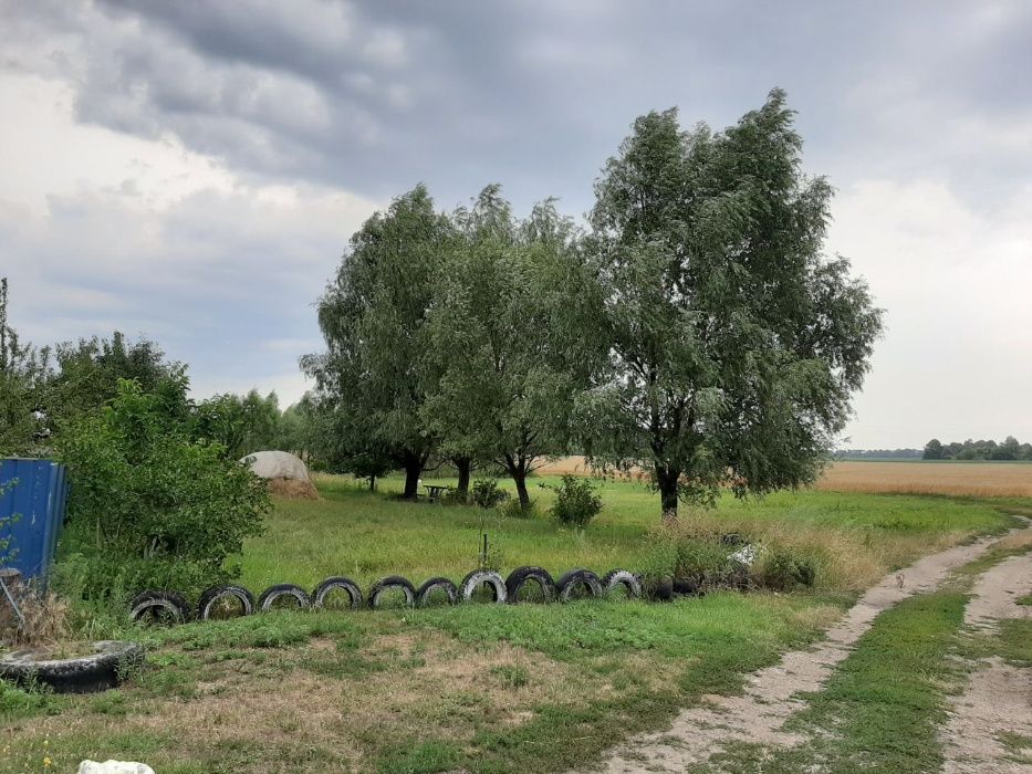 Продам дом в г.Березань, Киевская обл.