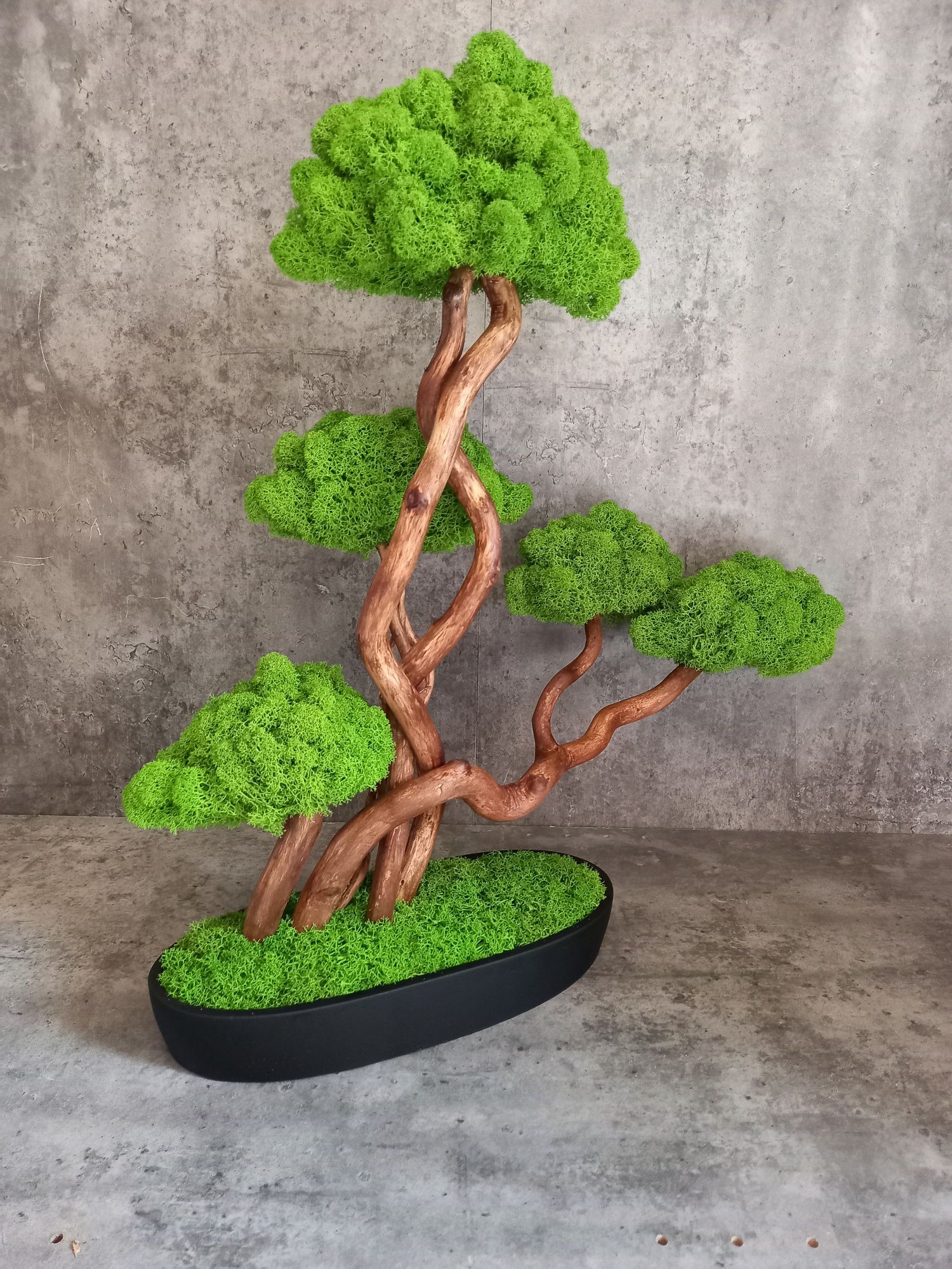 Dekoracja do domu, biura. Drzewko Bonsai. Mech  Chrobotek. Prezent.
