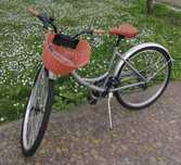Bicicleta Berg Crosstown Feminina
