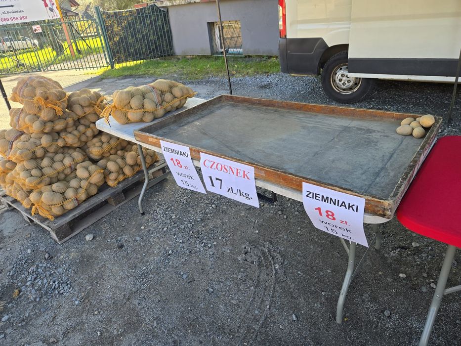 Sprzedam ziemniaki Soraya, Bellarosa i Gala
