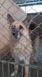 Fina do adopcji!