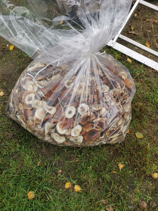 Borowik suszony Cały (kapelusze) 2025r,ł