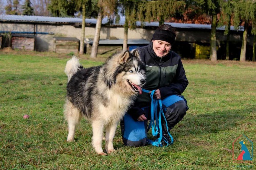 Tayo 283/24 - SZUKA DOMU!