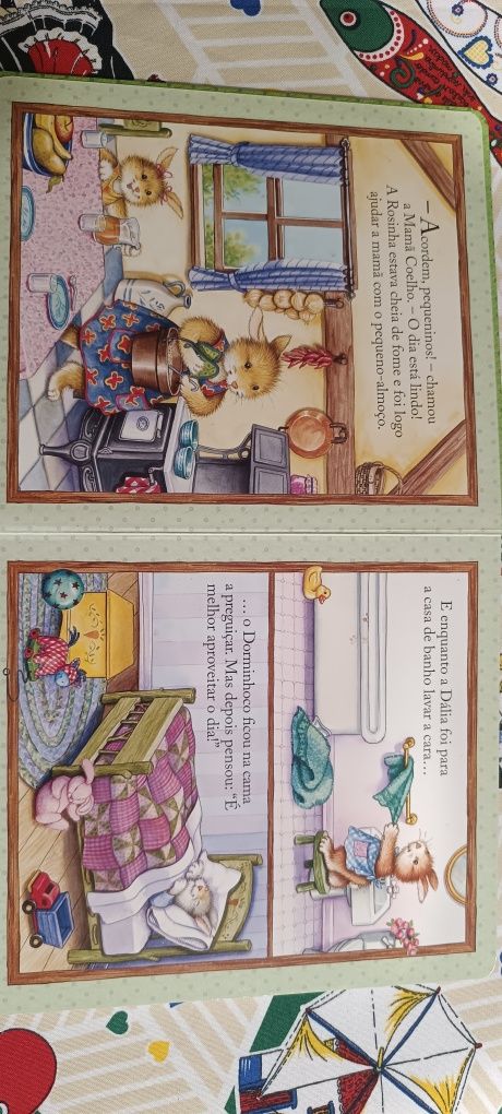 Livro Um dia atarefado