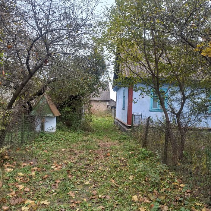 Продам будинок с. Межиріч