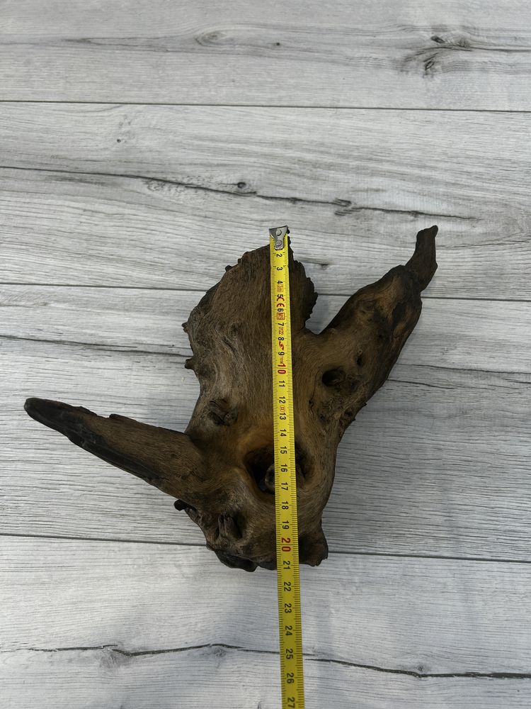 Korzeń mopani 30x21 cm – idealny do akwarium lub terrarium