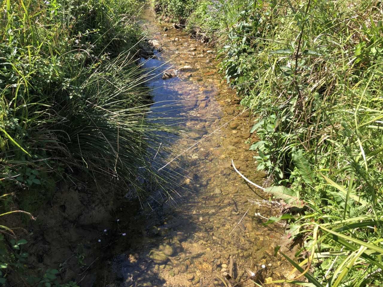 Terreno agrícola para cultura biológica com cerca de 2 ha
